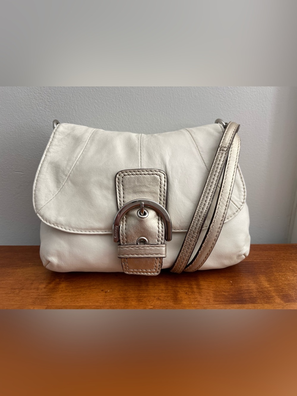 90's COACH Soho GENUINE LEATHER F45664 CROSSBODY BAG